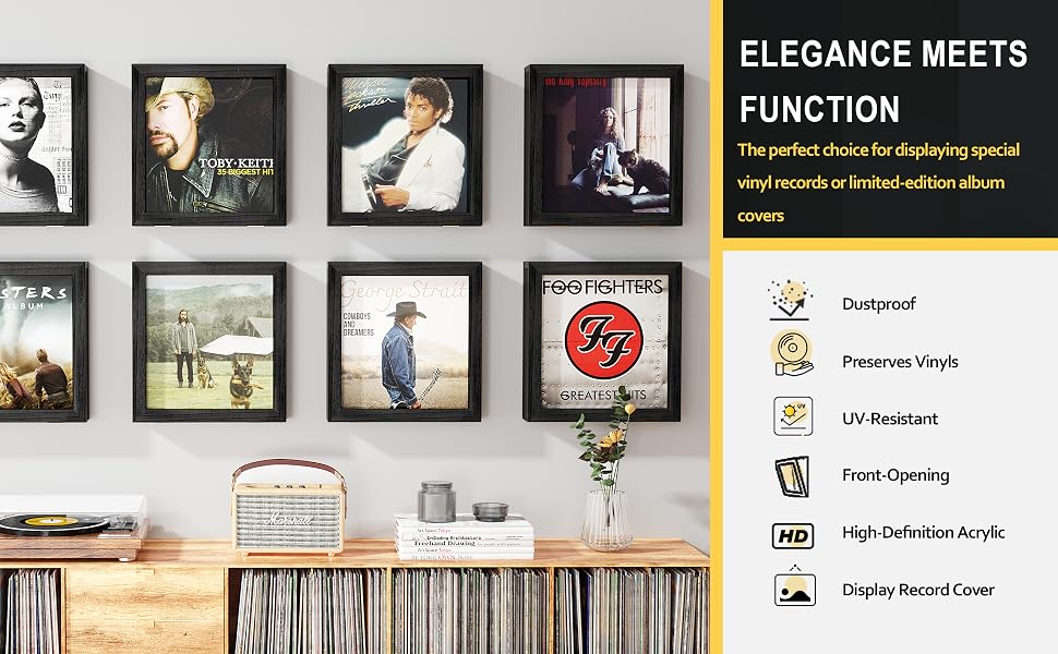 vinyl record storage product details