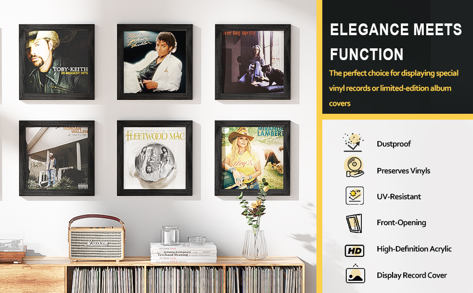 Marco de vinilo product details