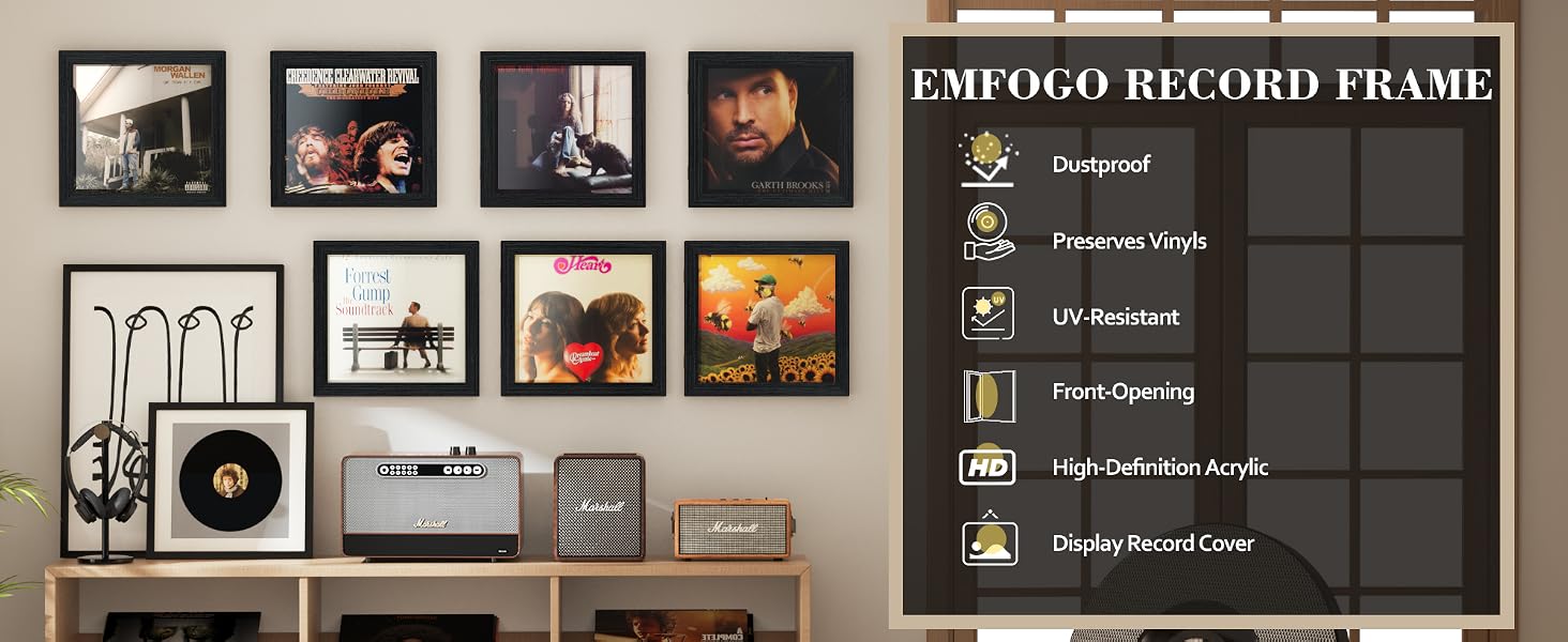record frame product details