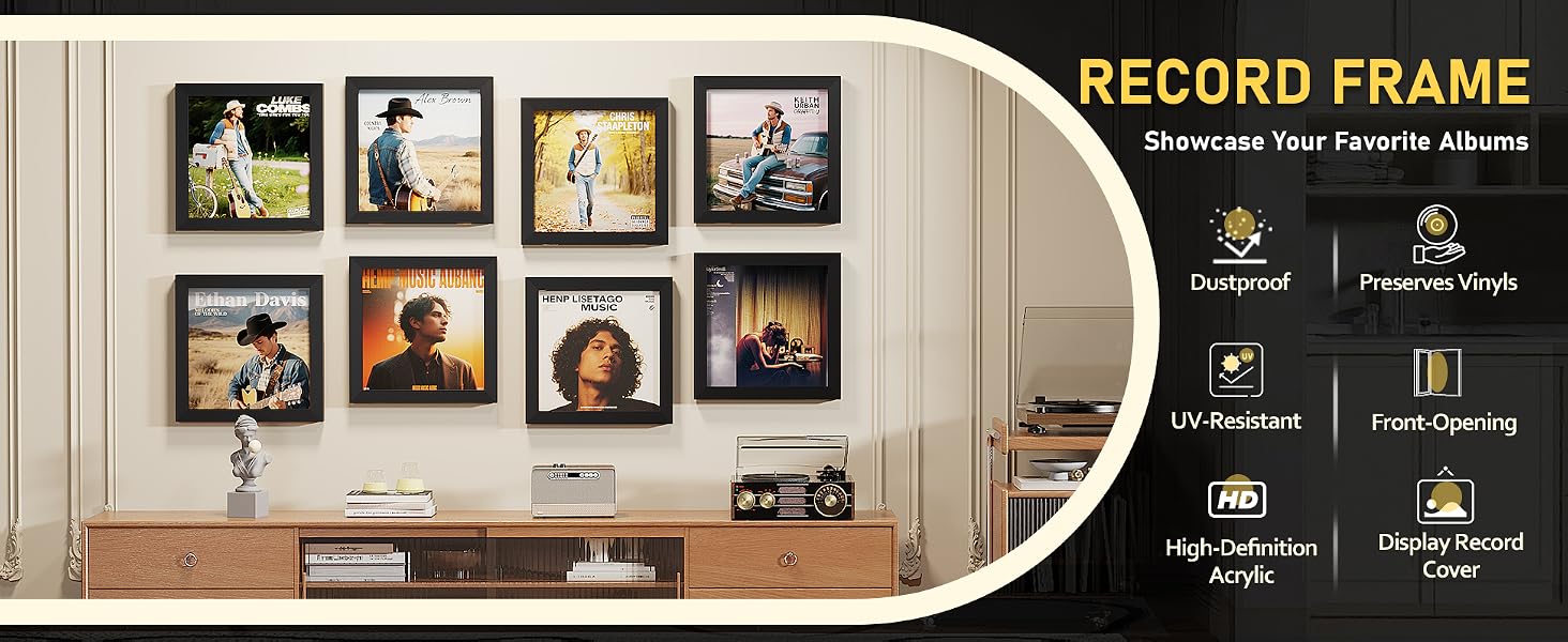 record frame product details