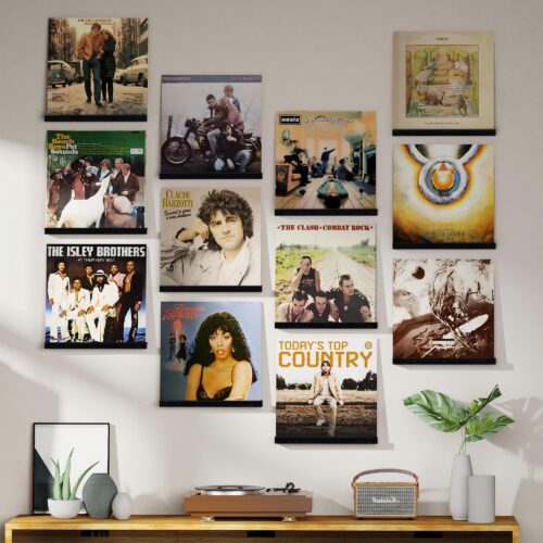 Emfogo Vinyl Record Shelf Wall Mount, 12 Pack Album Record Holder Wall, 12 inch Vinyl Record Storage Shelves Wall, Wood Record Display for Living Room