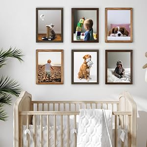 picture frames product details