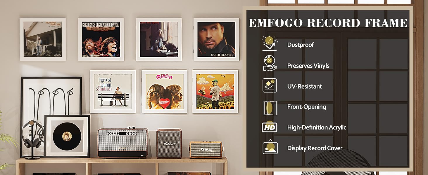 record frame product details
