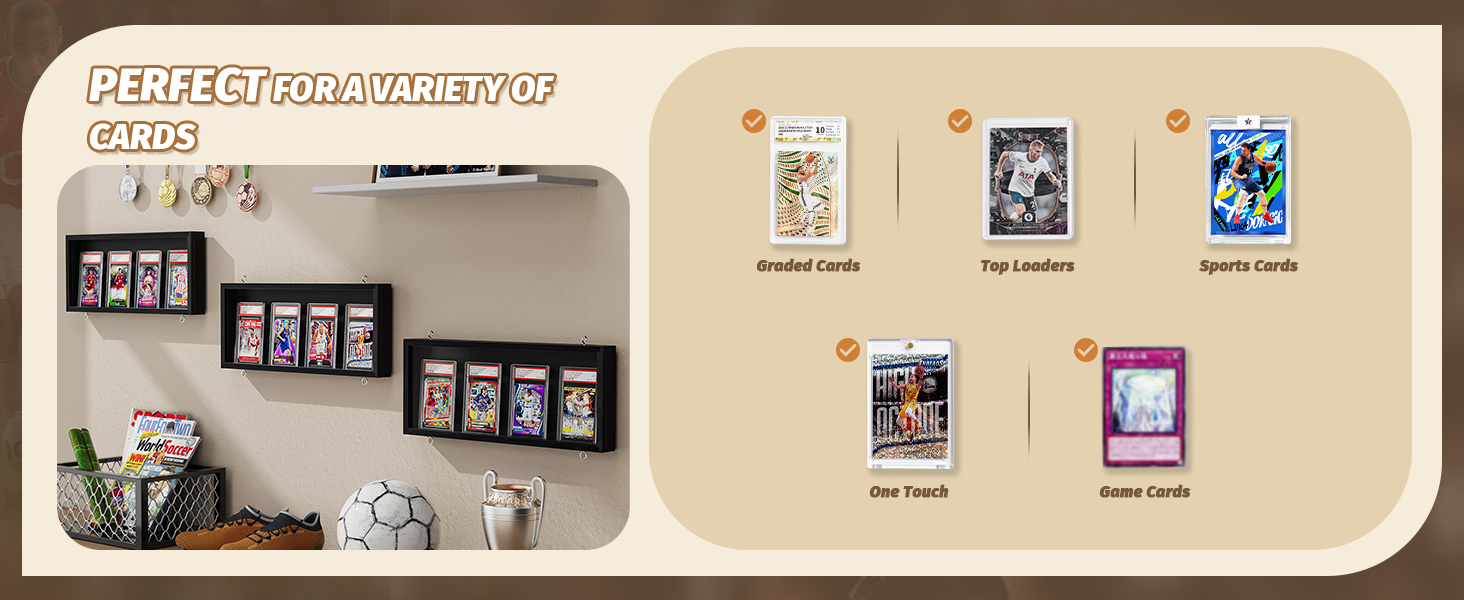 sports card display case product details