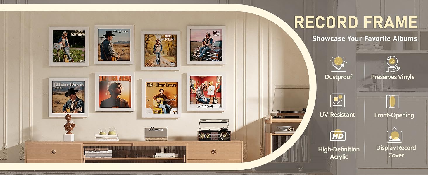 record frame product details
